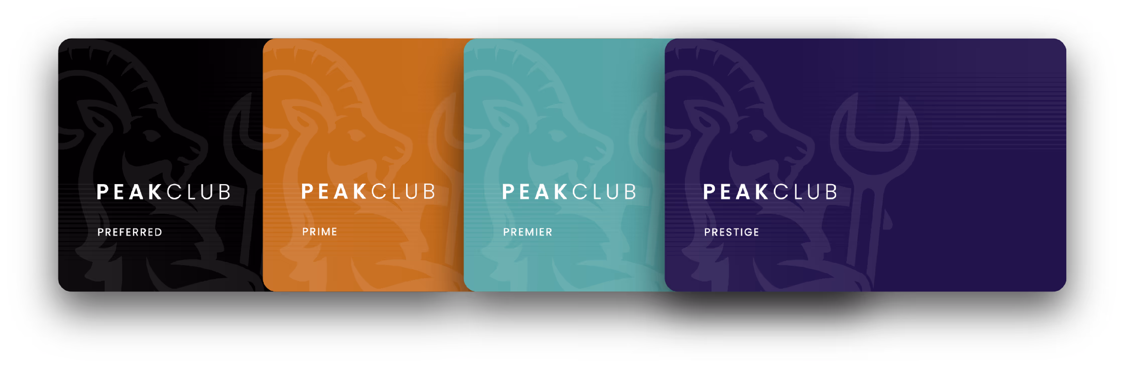 PeakClub Membership Club Cards Grouped Horizontal@3x