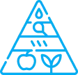 nutrition icon