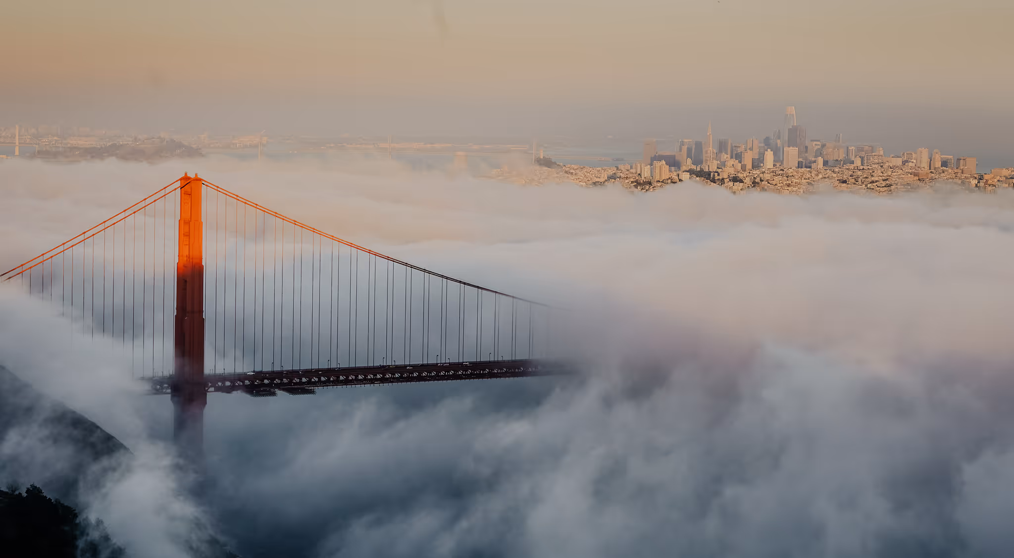 San Francisco photo by Olivia Moran