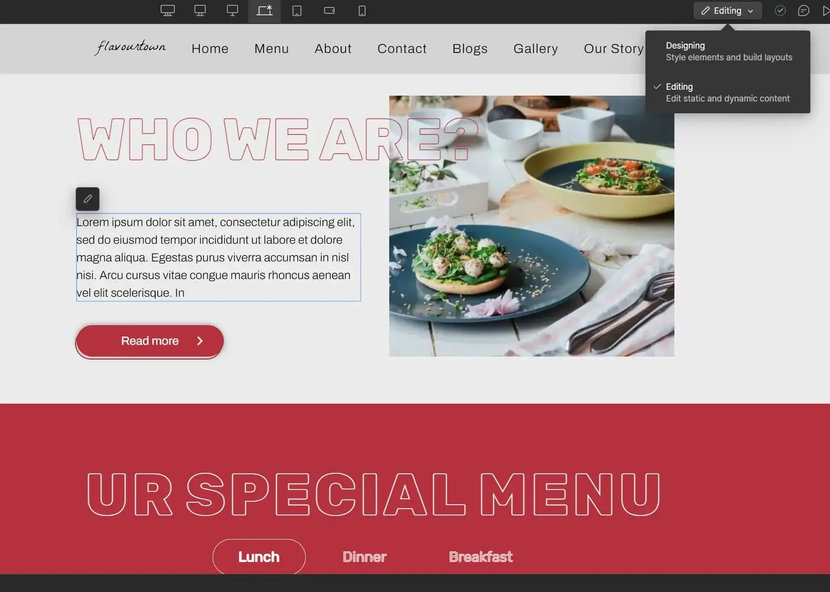 screenshot displaying the Webflow designer UI