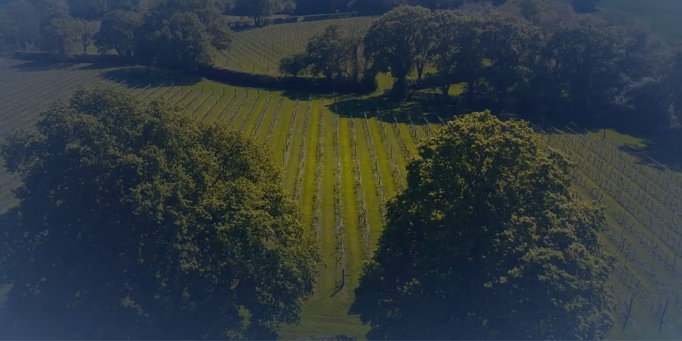 Triangle behind a mountain range made with structural grid like texture