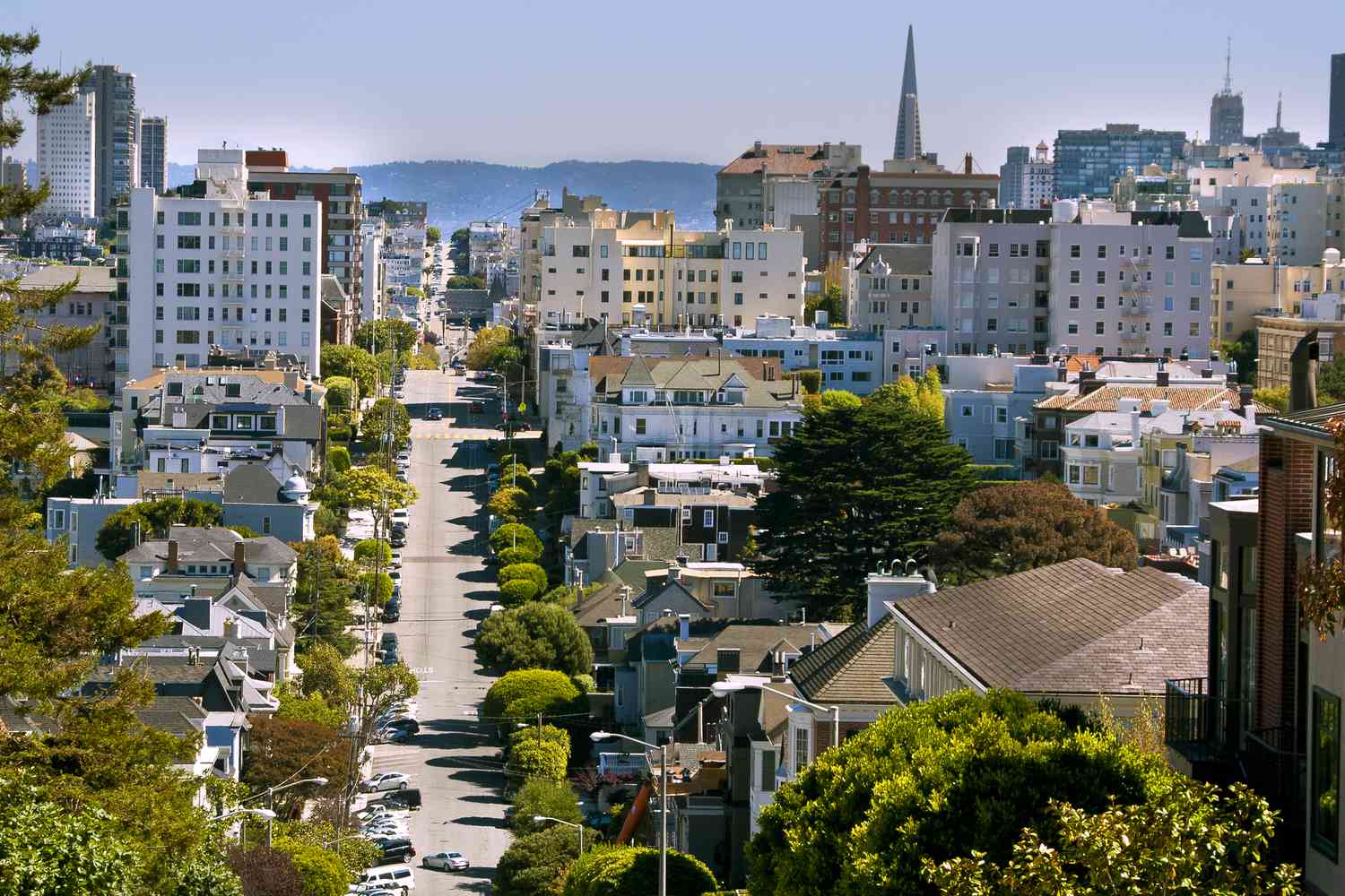 Pacific Heights streetscape near Fillmore Street in San Francisco