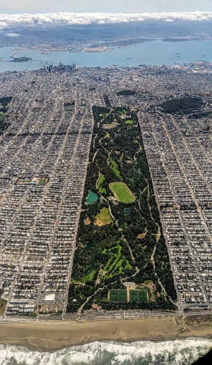 Golden Gate Park active lifestyle near Inner Sunset
