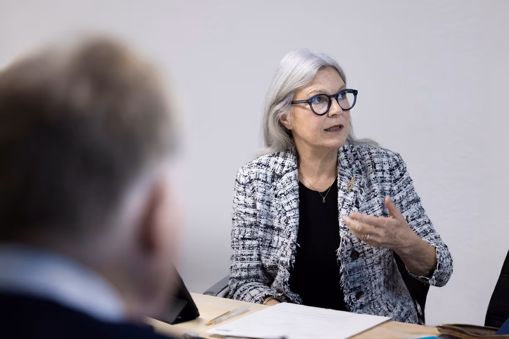 Member of the board, Lisa Herold Ferbing, in conversation