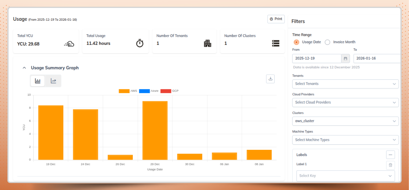 YCU details for the selected cluster