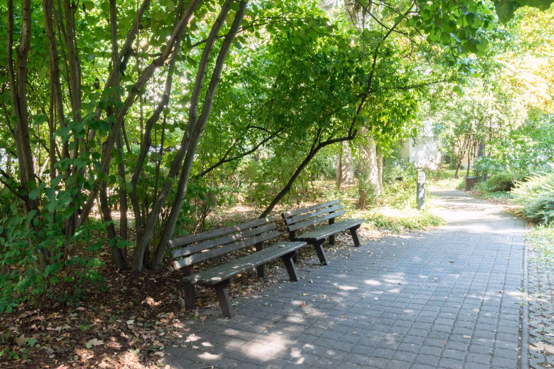 objektbilder Innenhof