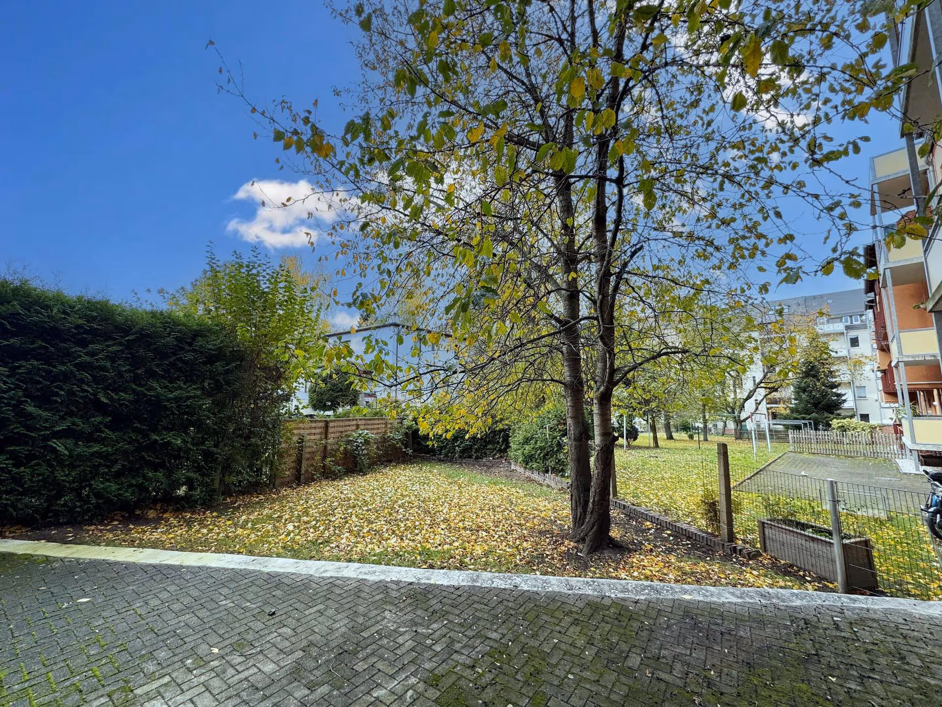 objektbilder Hinterhof