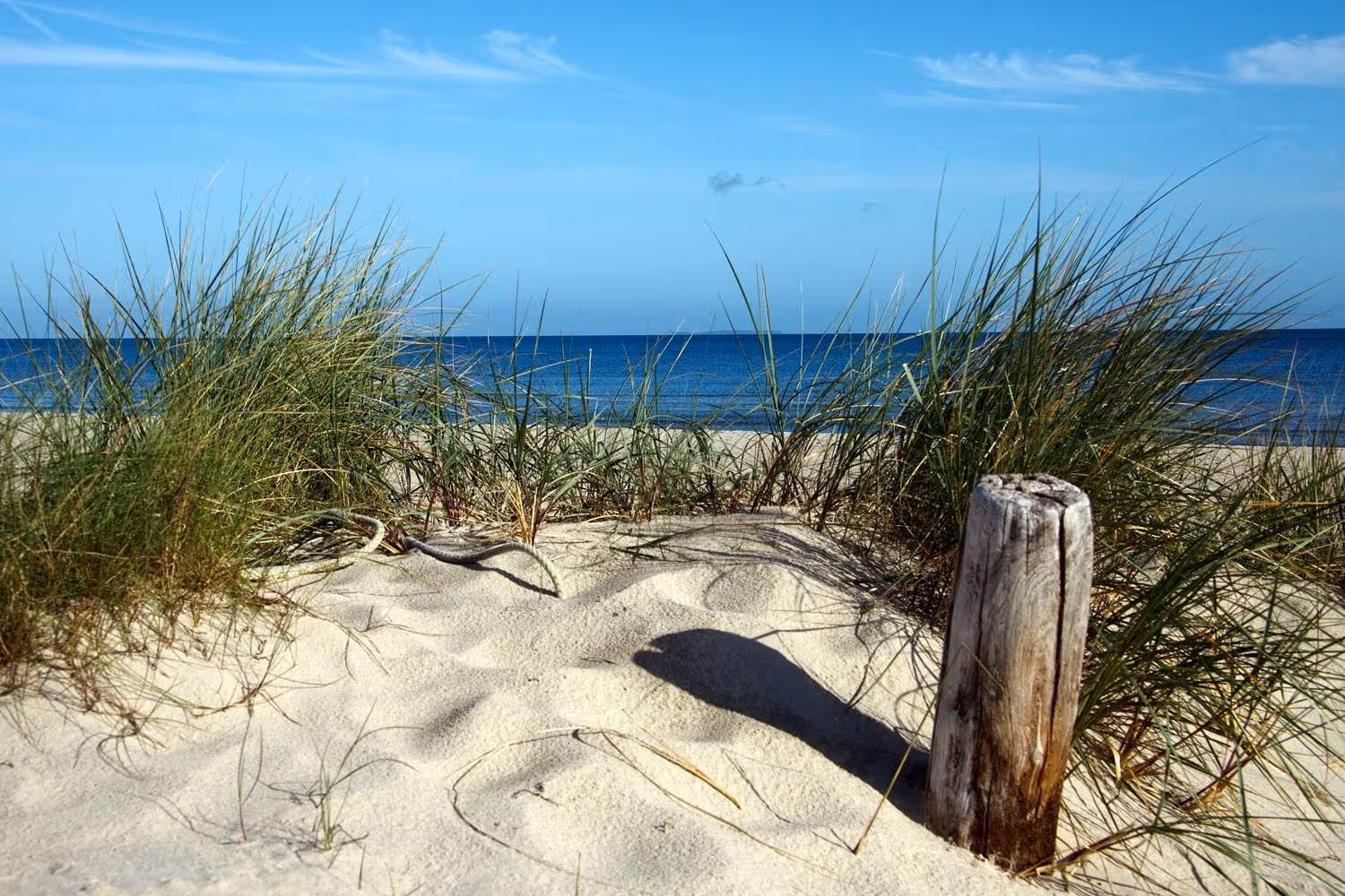 objektbilder Ostseebad Trassenheide