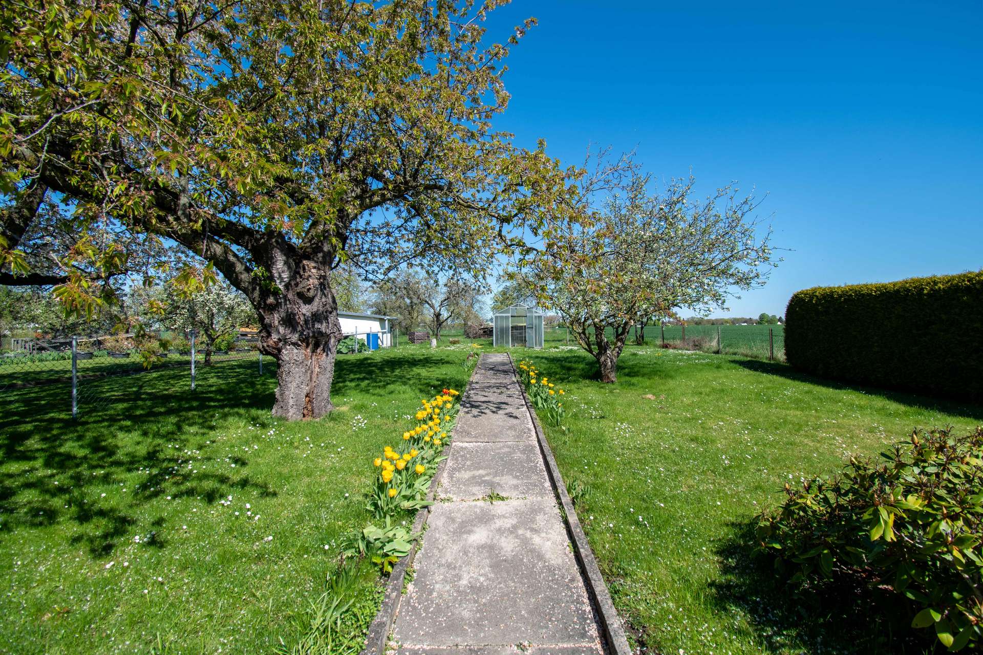 Garten