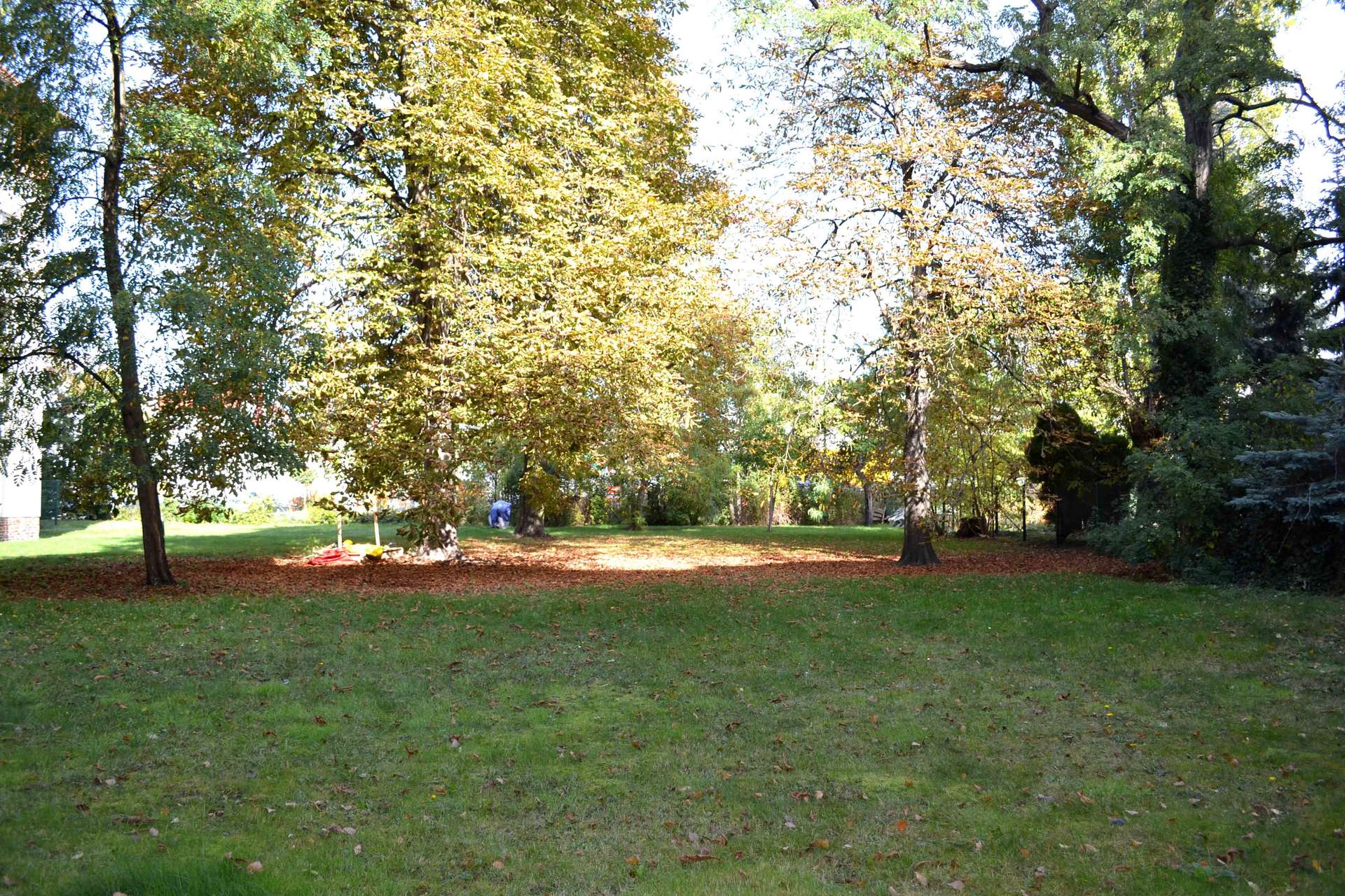 Garten