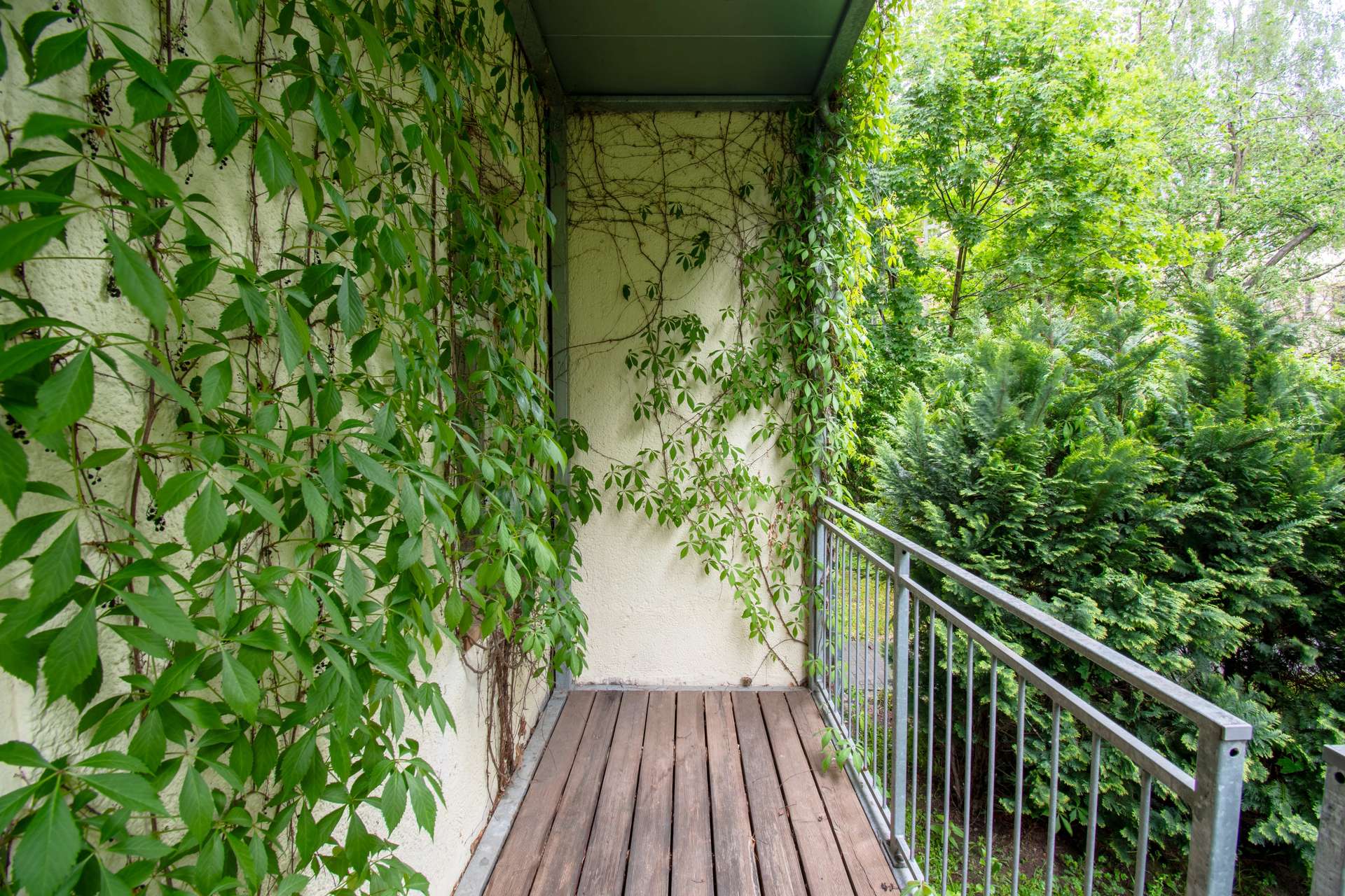 objektbilder Balkon