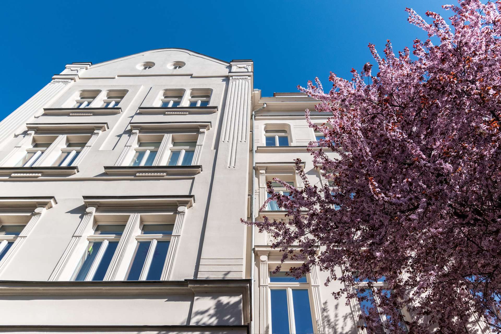 Fassade