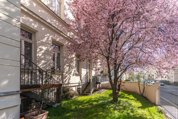 objektbilder Garten