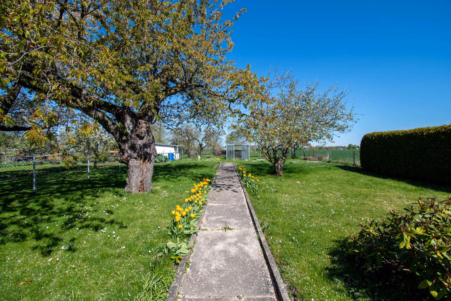 Garten