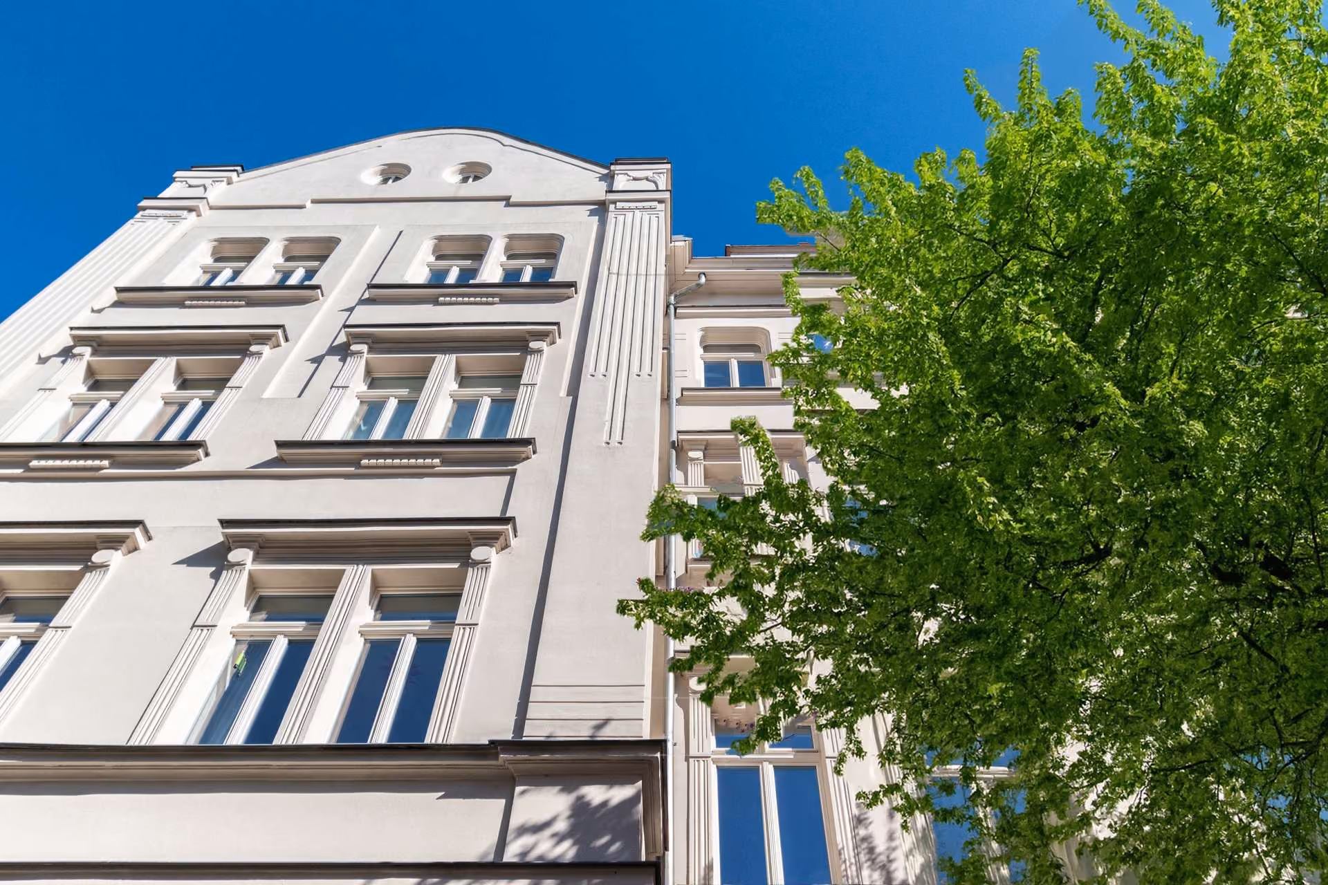 Ansicht Fassade