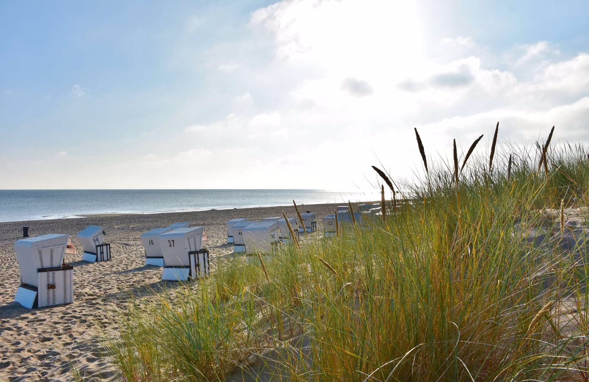 objektbilder Ostseebad Trassenheide