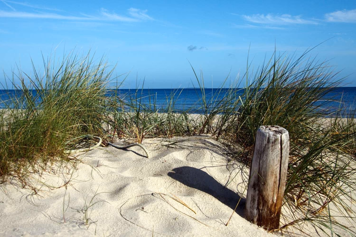 objektbilder Ostseebad Trassenheide
