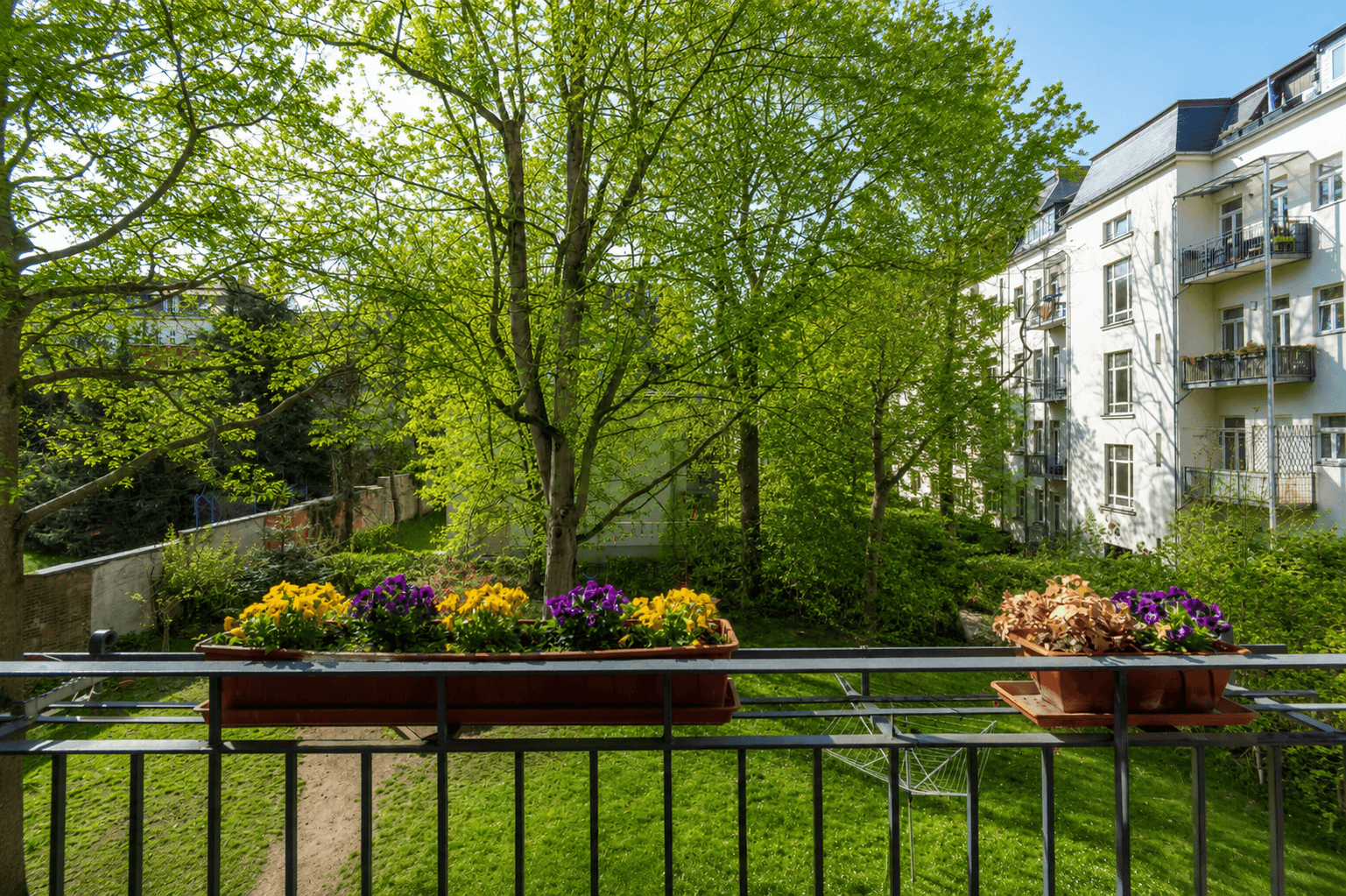 Balkon
