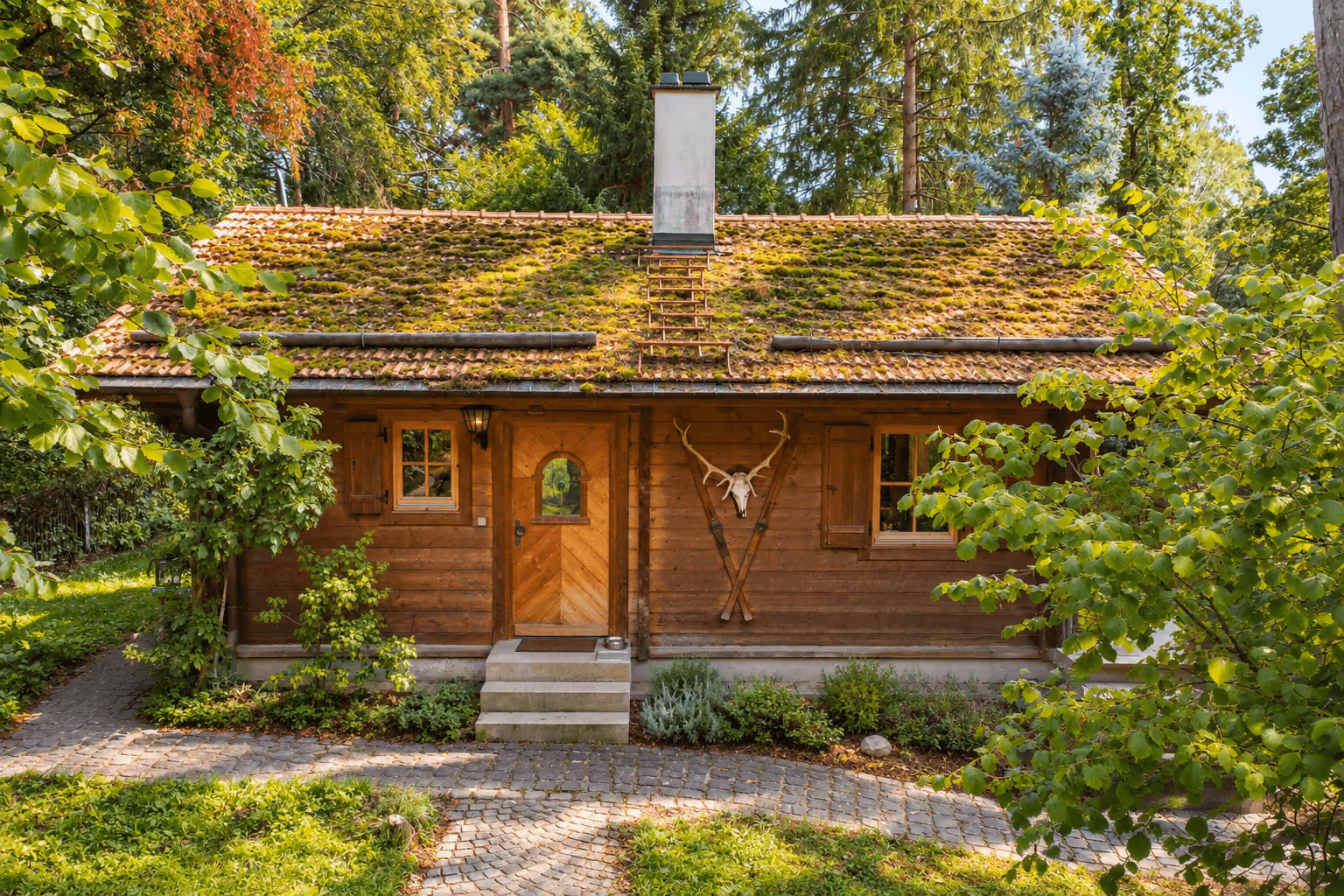 objektbilder Holzhaus - Hauseingang