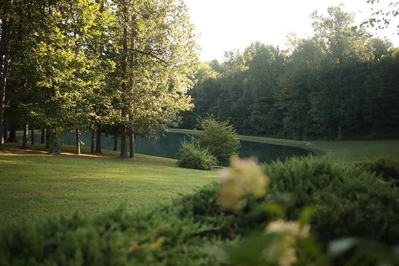 Lettera dal parco