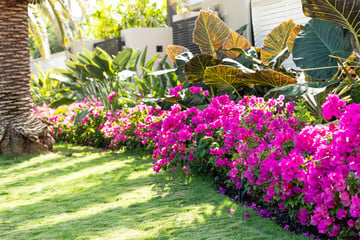 Landscape Design West Palm Beach