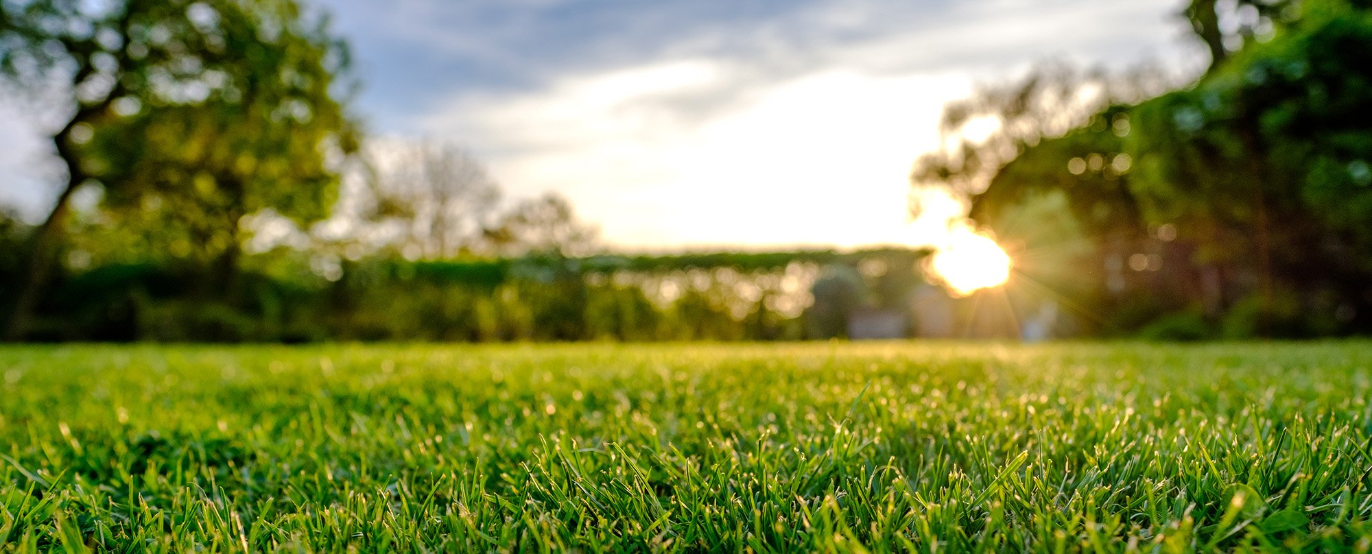Landscaping Companies in West Palm Beach