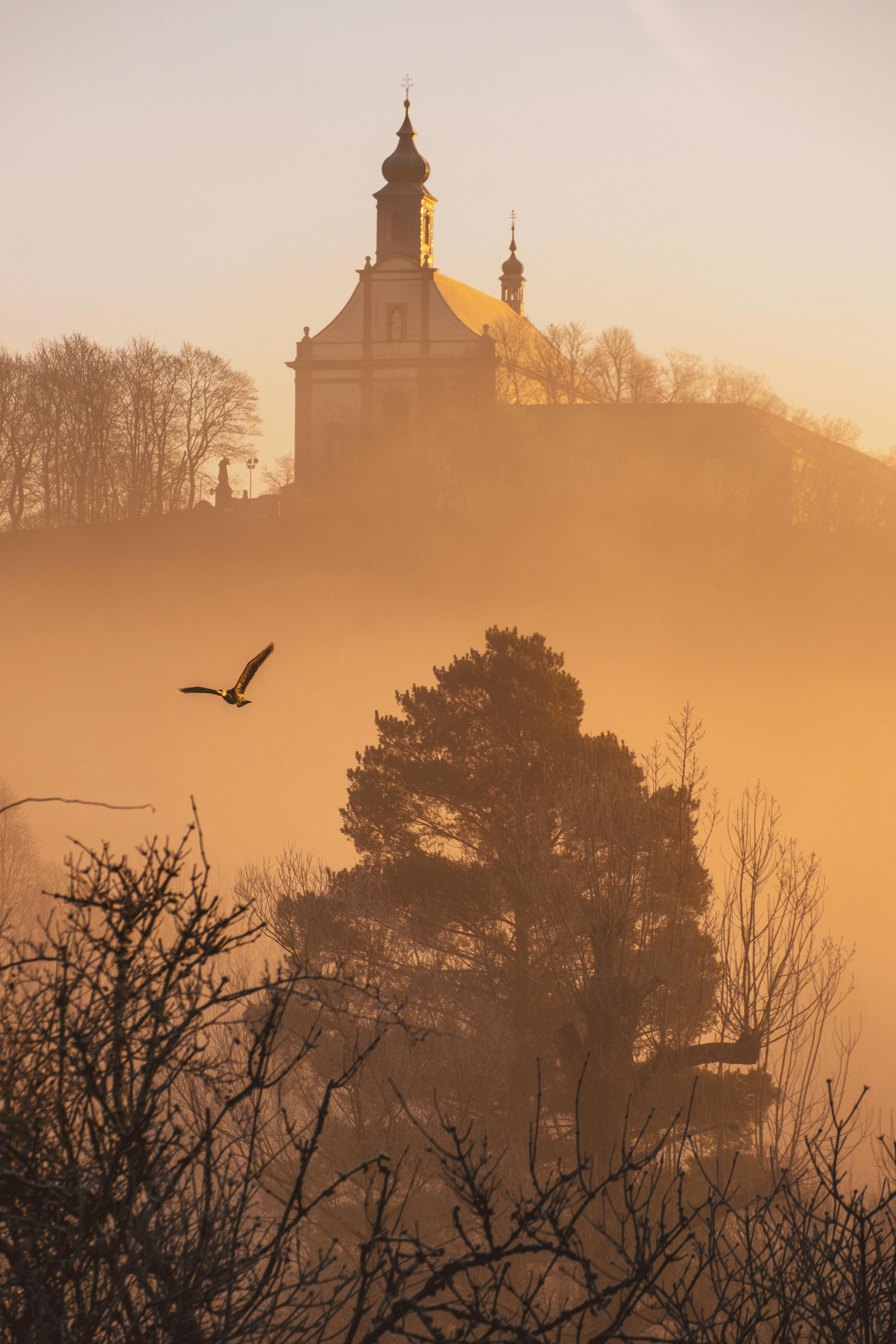 Kirche auf einem Hügel bei Sonnenuntergang mit Bäumen und einem fliegenden Vogel im Nebel.