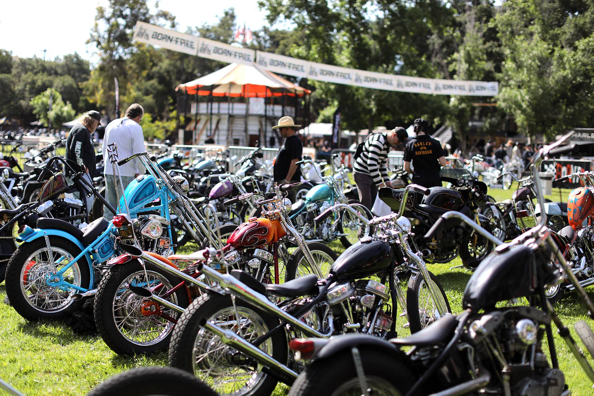 Photo of motorcycles on display
