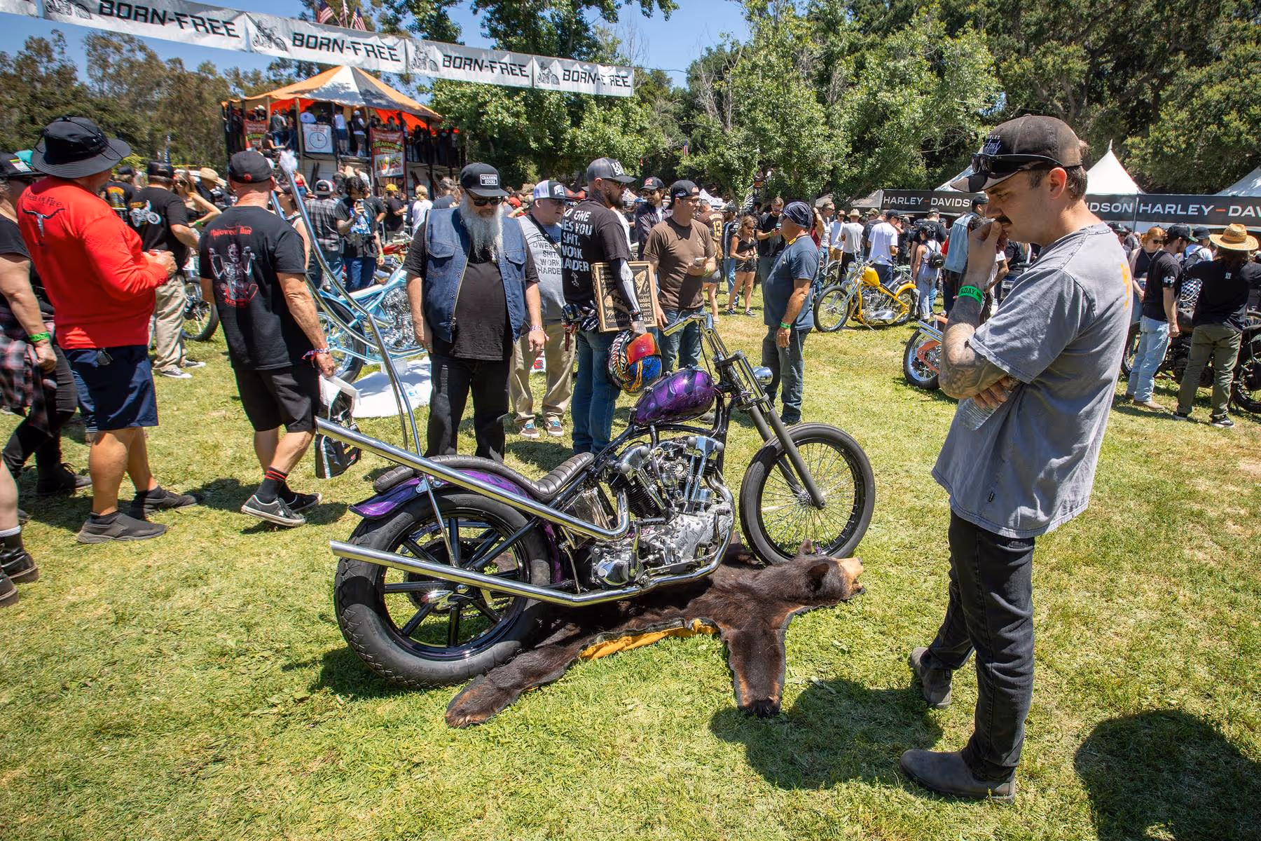 Man looking at show bike