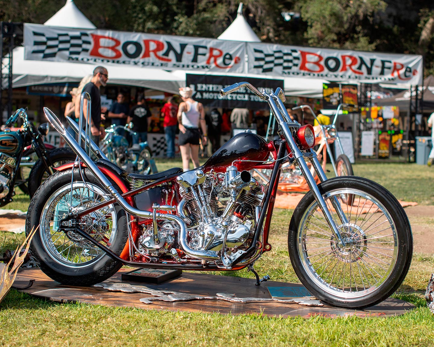Skateboarder doing trick on half pipe