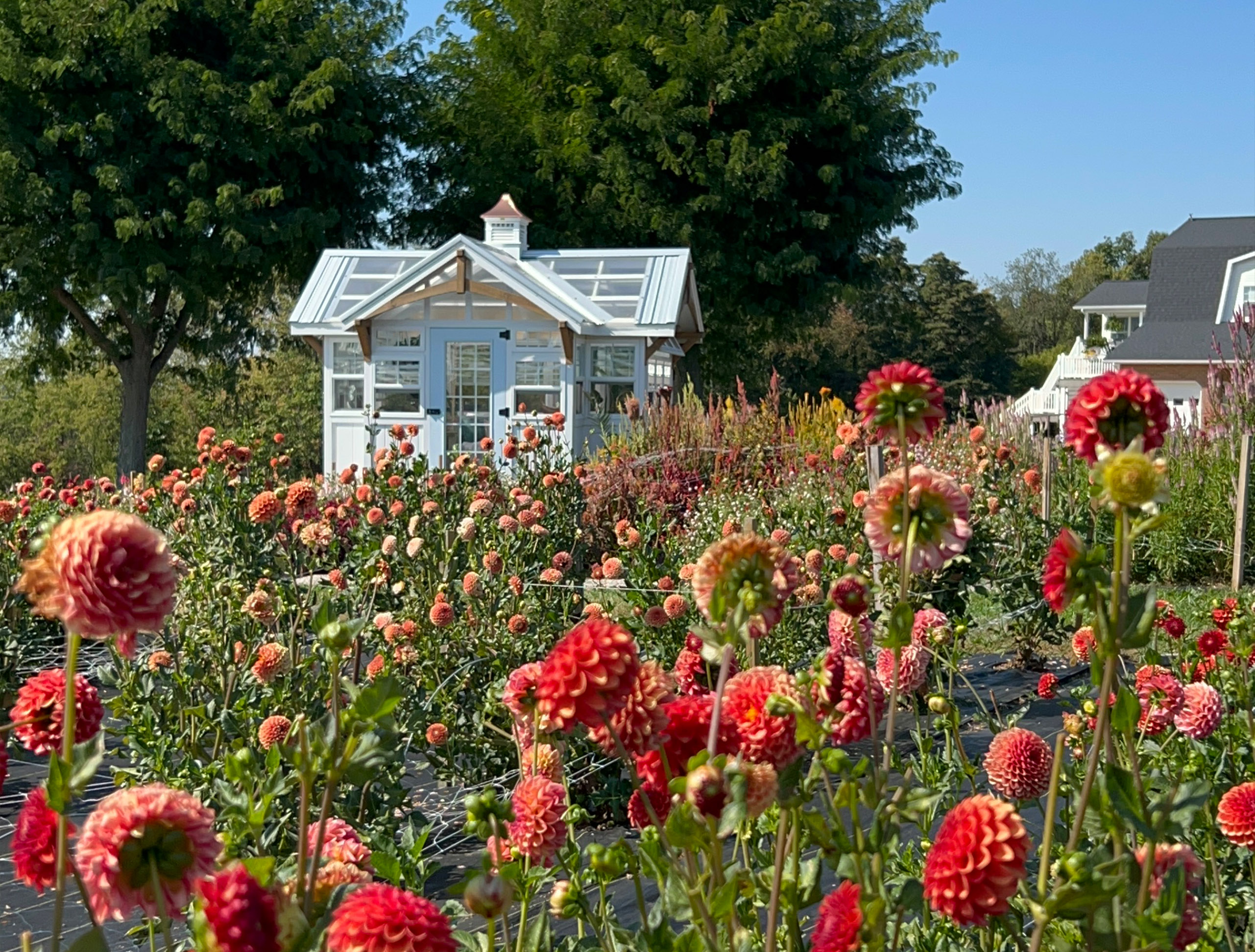 Cottage Potting Shed