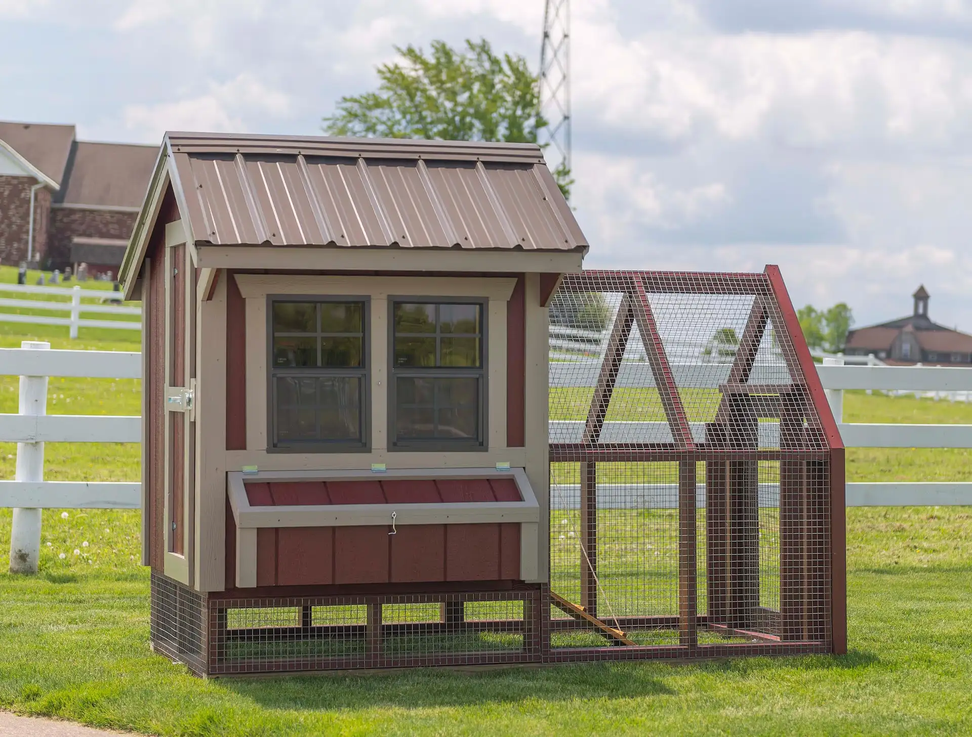 4' x 4' Chicken Coop with Outside Egg Collection & Optional Outside Run