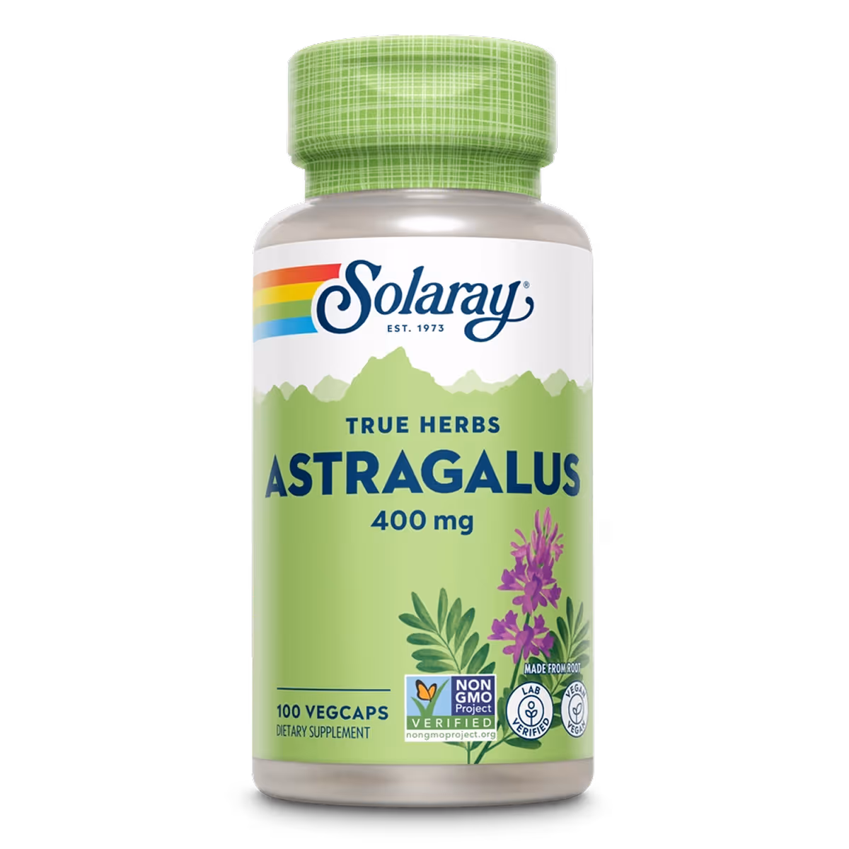 Astragalus