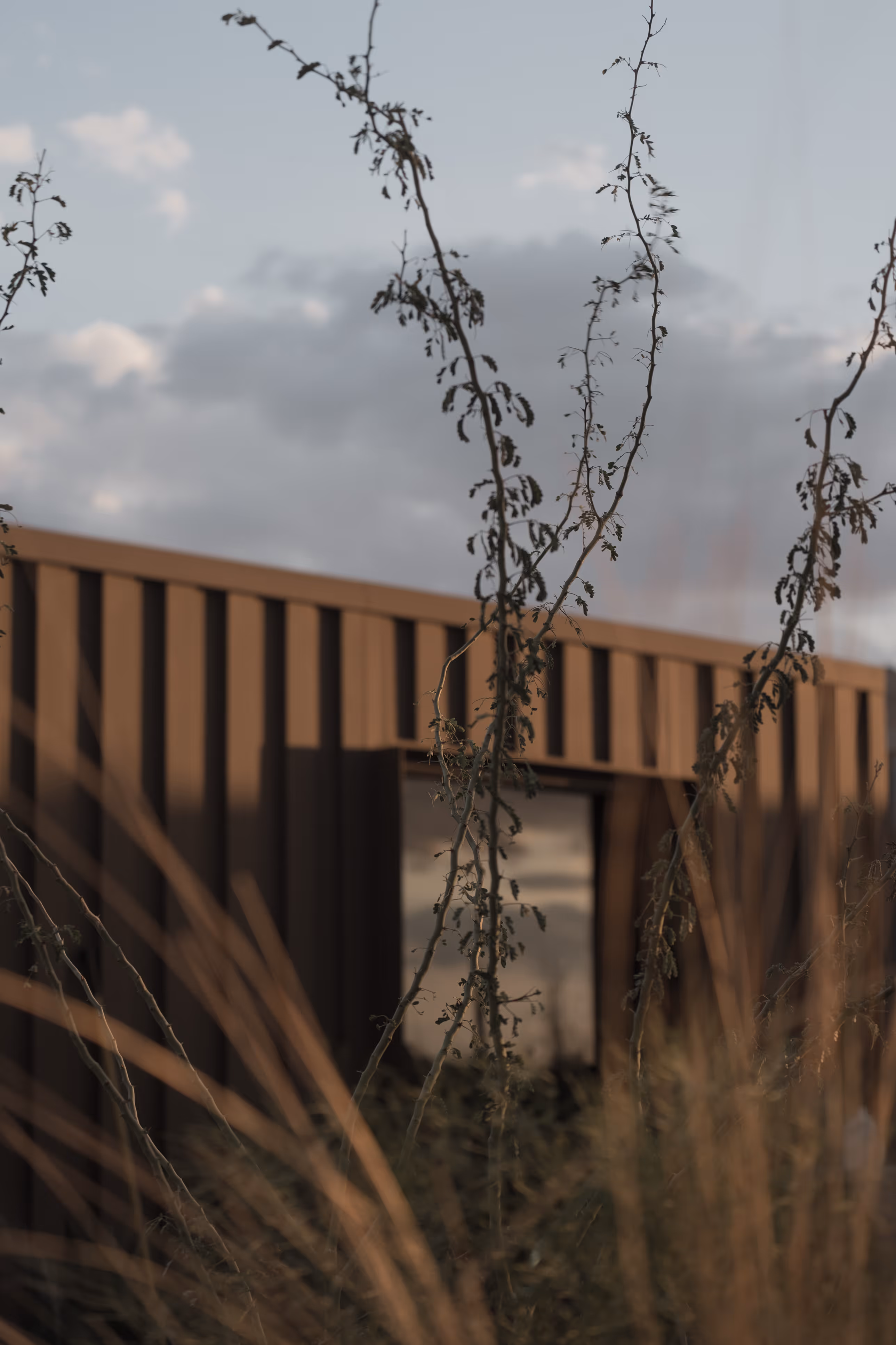 Exterior of Reset Hotel rooms in Twentynine Palms, California, modern brown siding with foliage-framed window