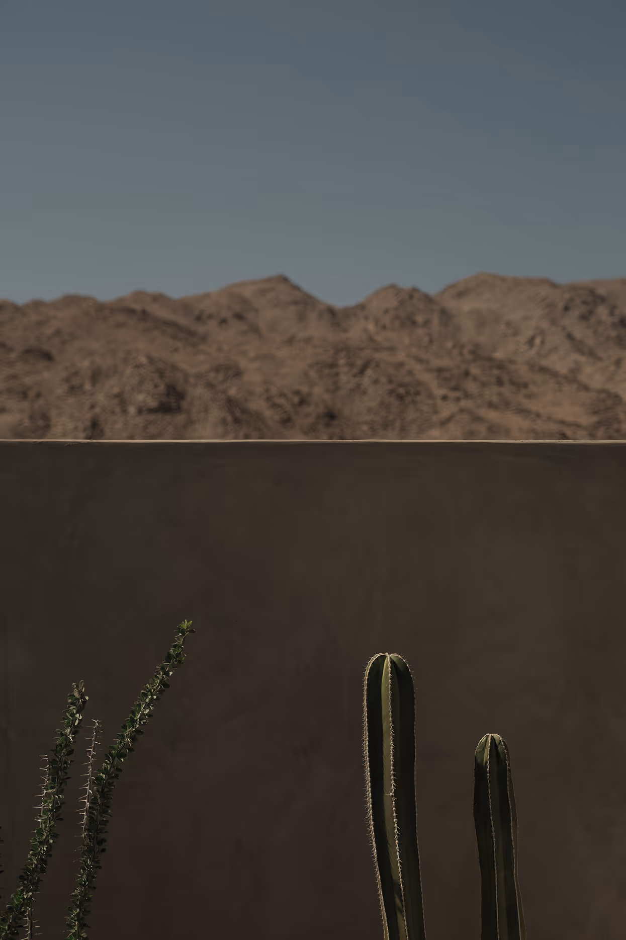 Minimalist desert landscape with plants and mountains near Reset Hotel, Twentynine Palms