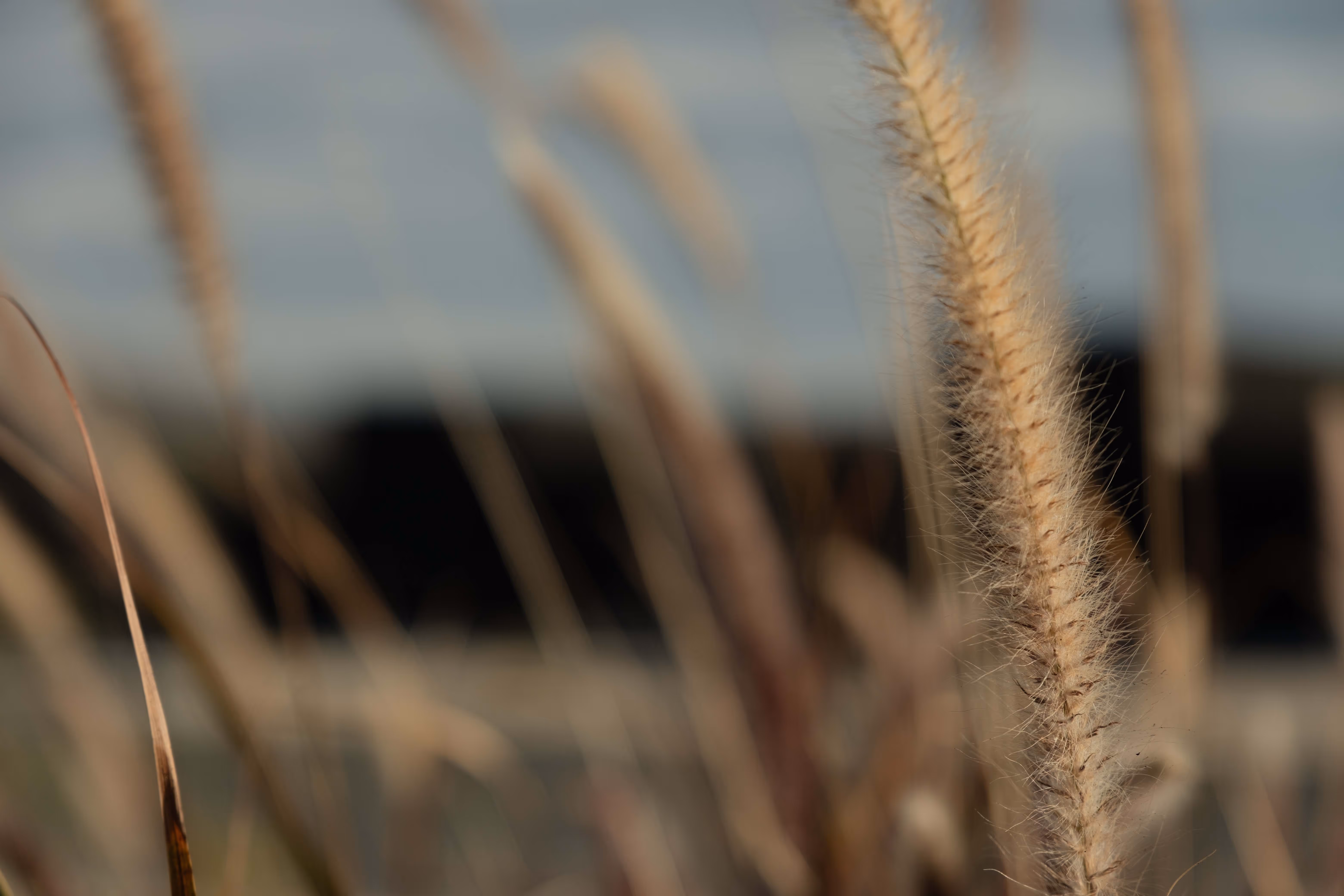 Reset Hotel rooms exterior in Twentynine Palms, a modern wood-clad desert stay with mountains