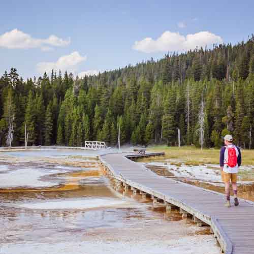 Yellowstone National Park Inspiration for Vacancy Brewing