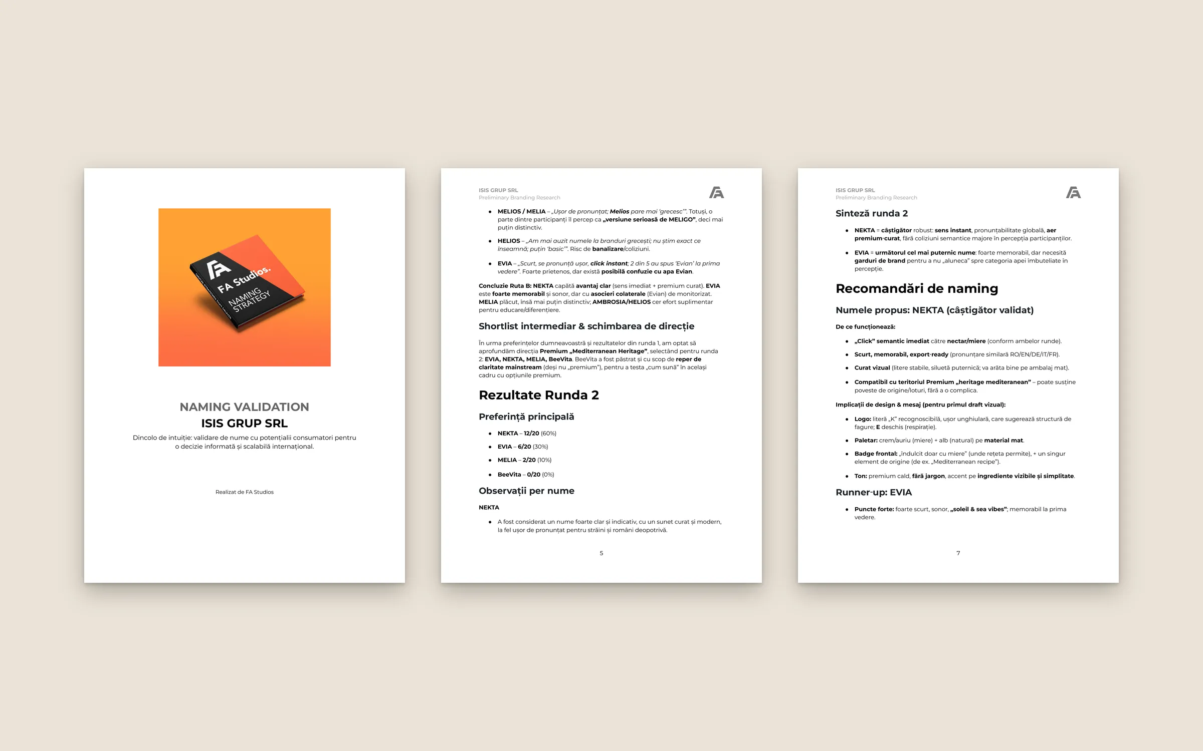 Three pages of the Nekta naming-validation report.