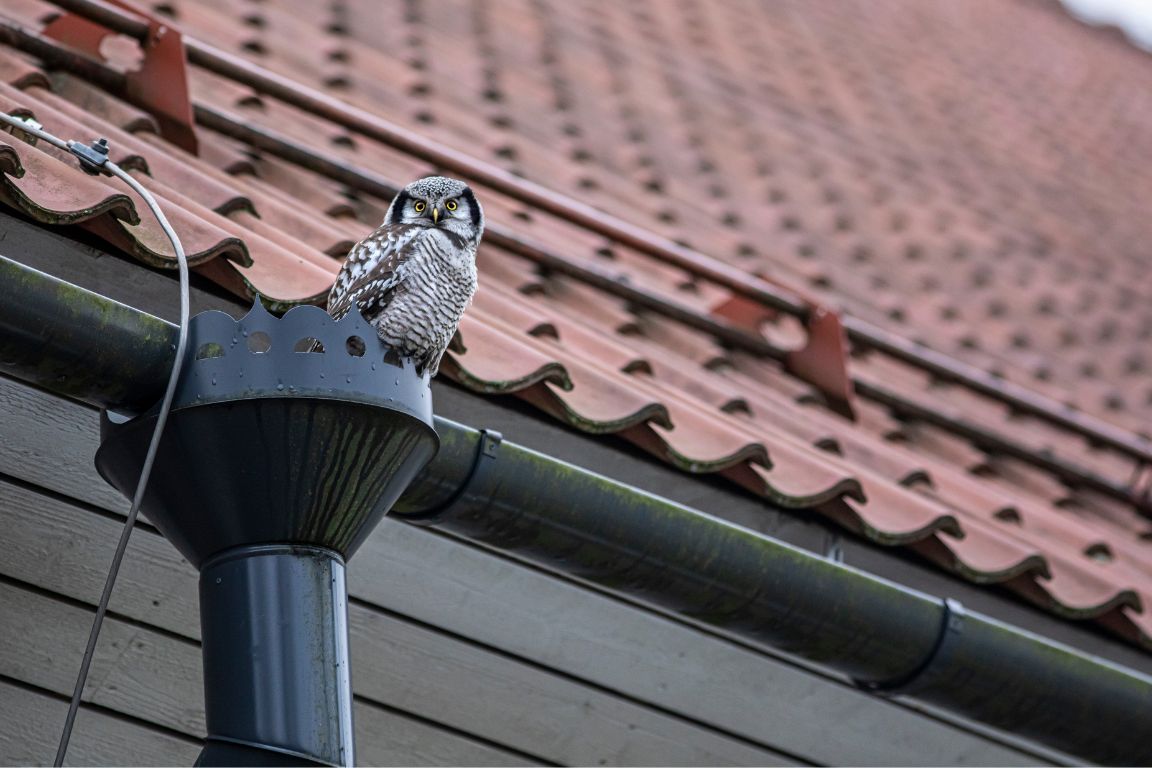 gutter and downspout system on eave of clay tile roof