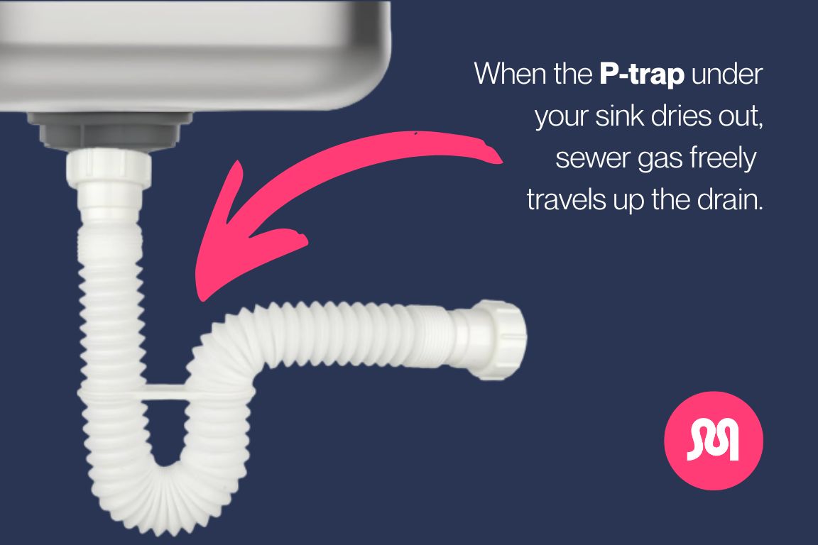 image of p-trap under bathroom sink to explain how dried out p-traps let sewer gas escape