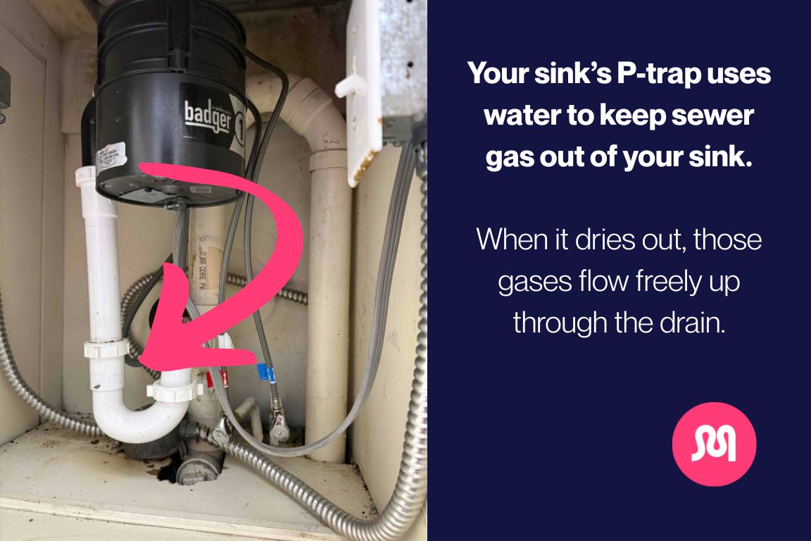 image of p-trap under sink to illustrate how dry p-traps cause smelly sink drains
