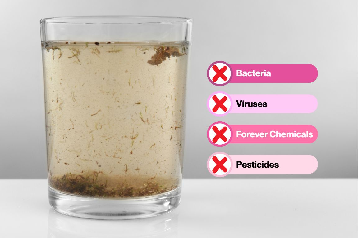 glass of dirty water with list of contaminants not filtered out by brita pitchers, including bacteria and viruses