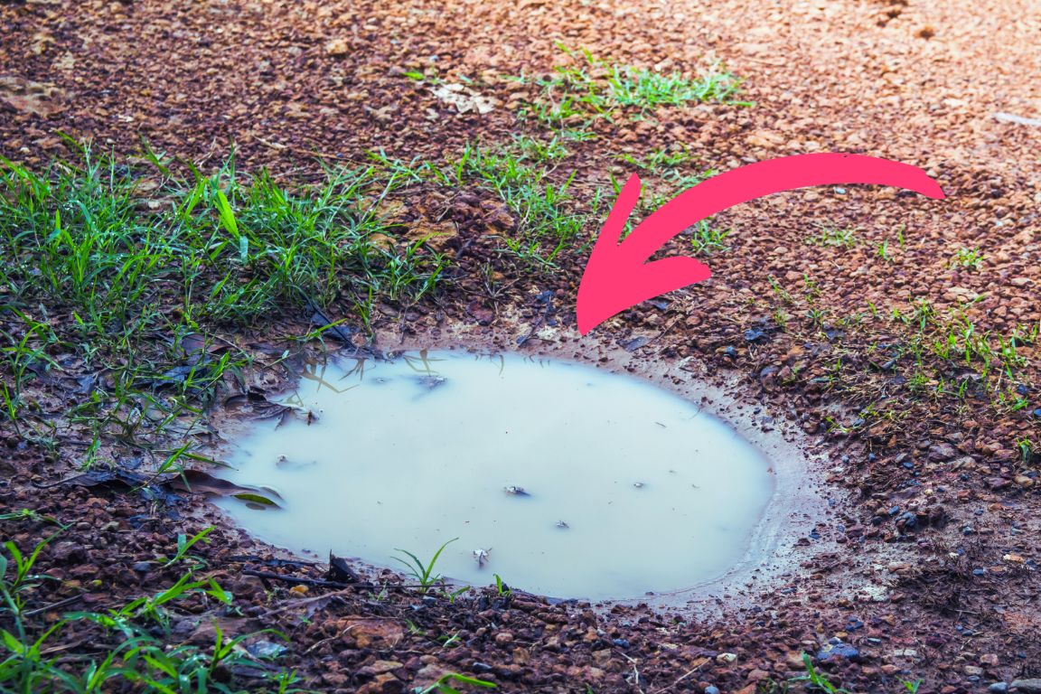 a damp smelly sinkhole in residential lawn indicating a break in the sewer line beneath it