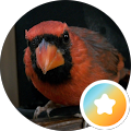 Reviewer photo