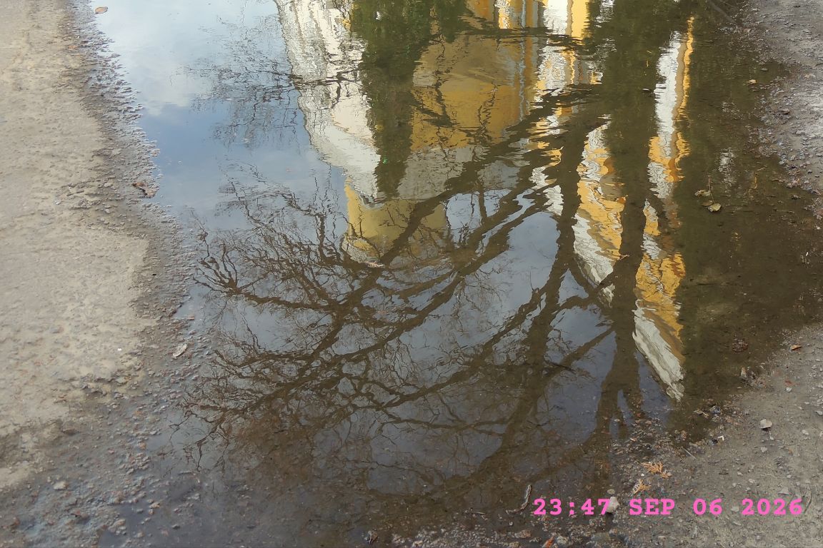 timestamped photo of outdoor water damage from slab leak, taken for homeowners insurance claim