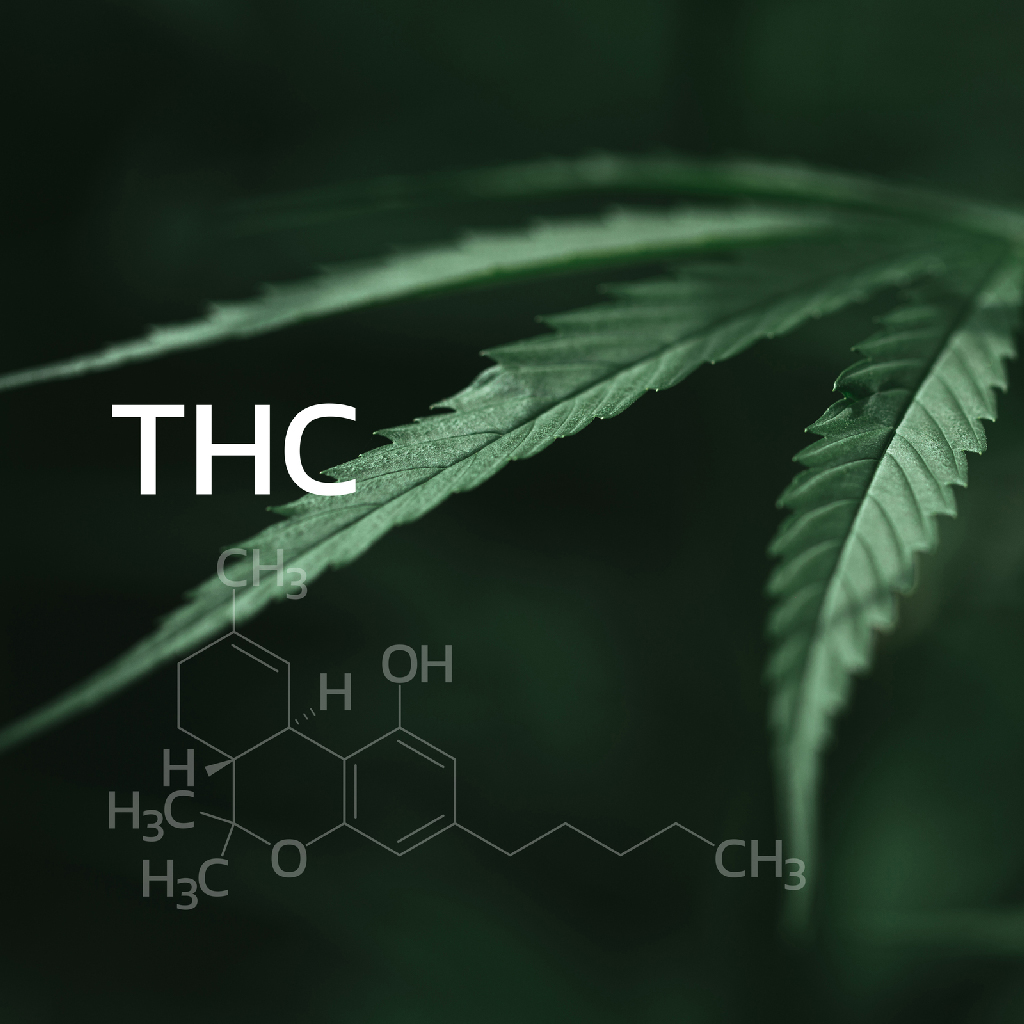 The Science Behind THC: How It Interacts with the Body