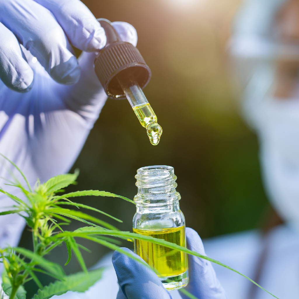 Exploring New THC Medical Marijuana Product Types