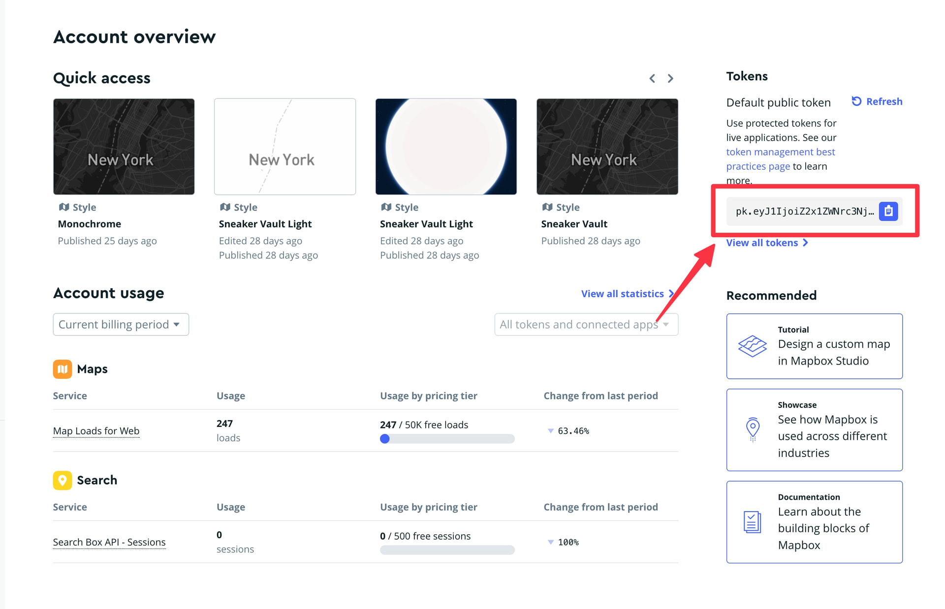 Mapbox access token field highlighted inside Dynamic Map settings.