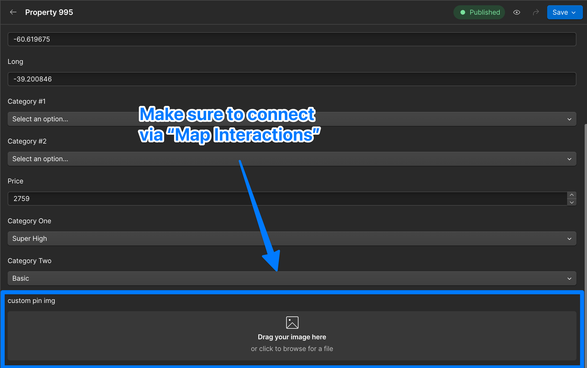 Webflow CMS collection item editor showing an Image field for a custom individual pin icon that overrides the default map pin for that item.