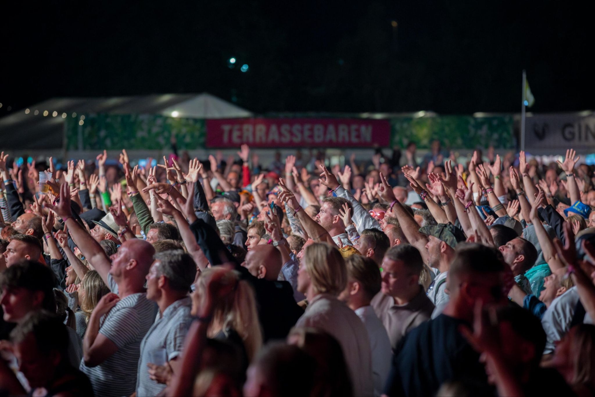 Publikum med hænderne oppe i luften foran scenen til en koncert på Vig Festival